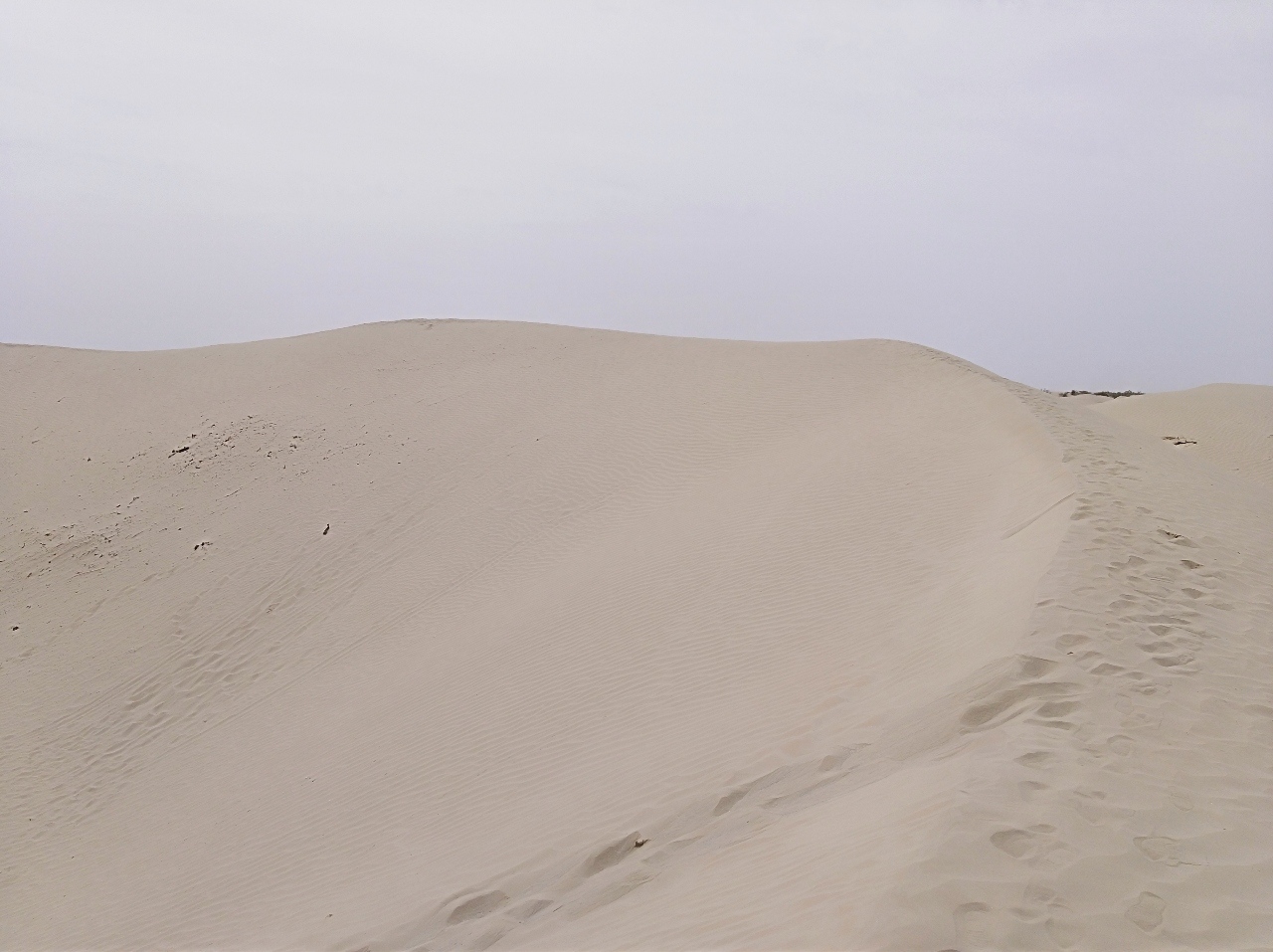 2018082606515596563600_1280_957.jpg
