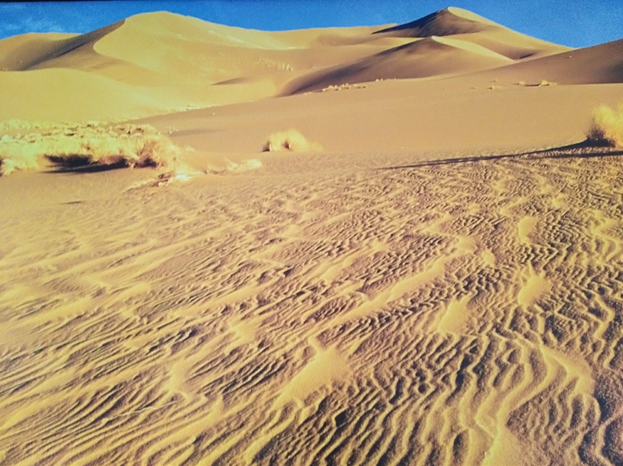 2018082606572870154750_1280_957.jpg