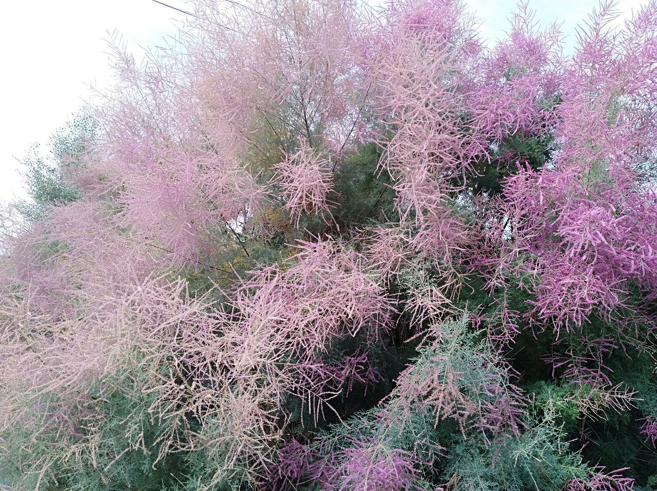 2018082709145868855270_1280_957.jpg