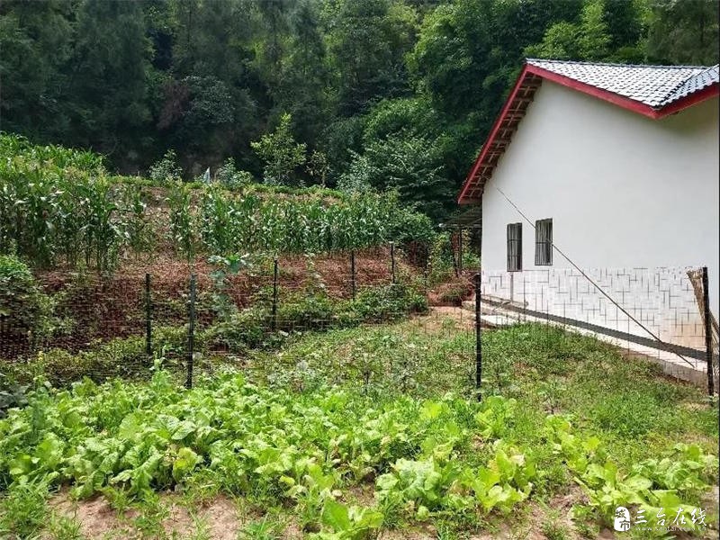 微信图片_20190705170428_已压缩.jpg