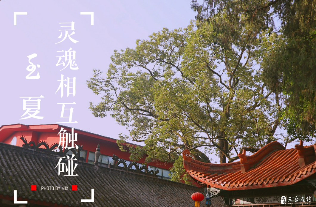 20190729_954_1564373949008.png