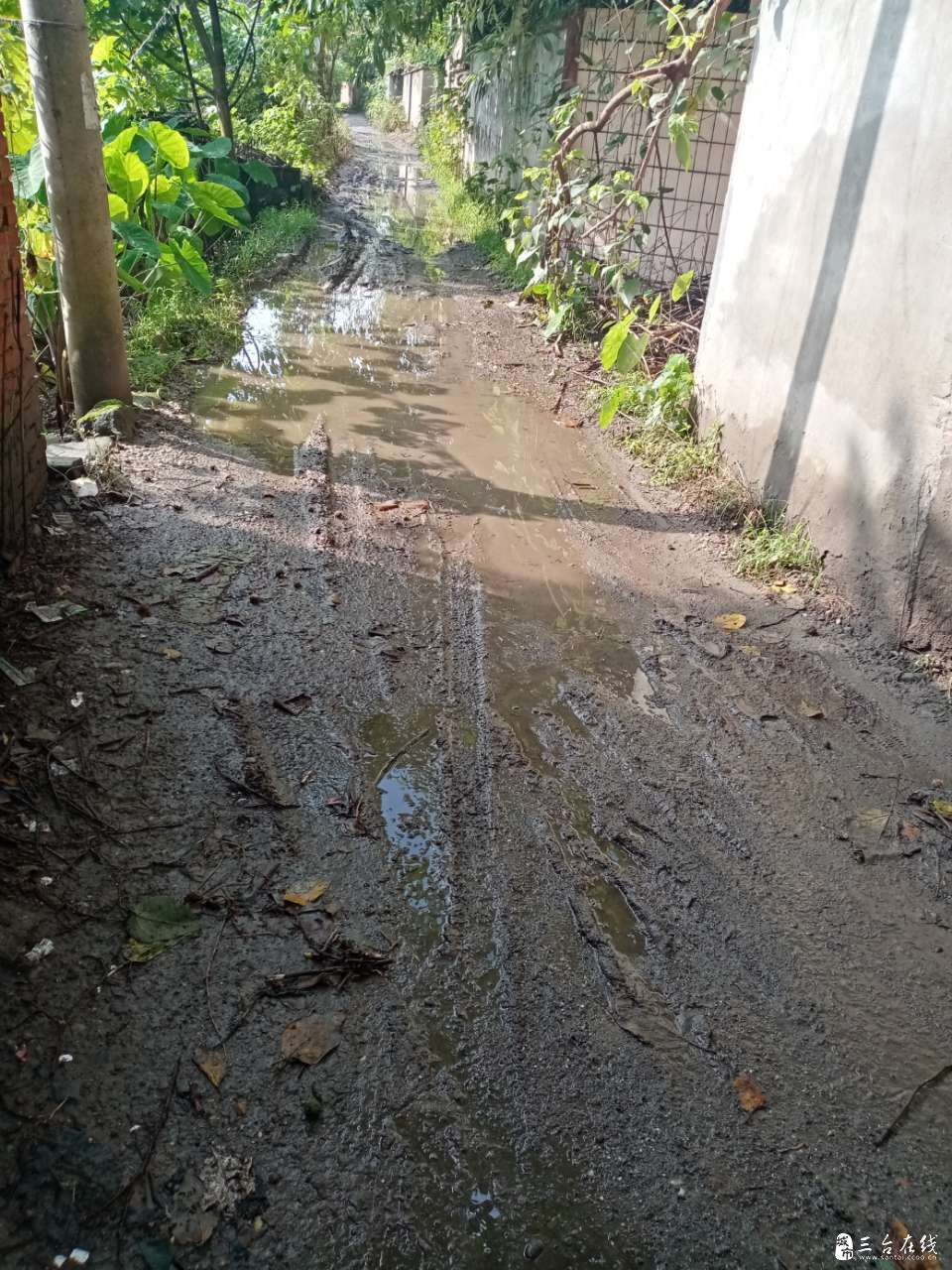 20190802_759_1564704151408.jpg