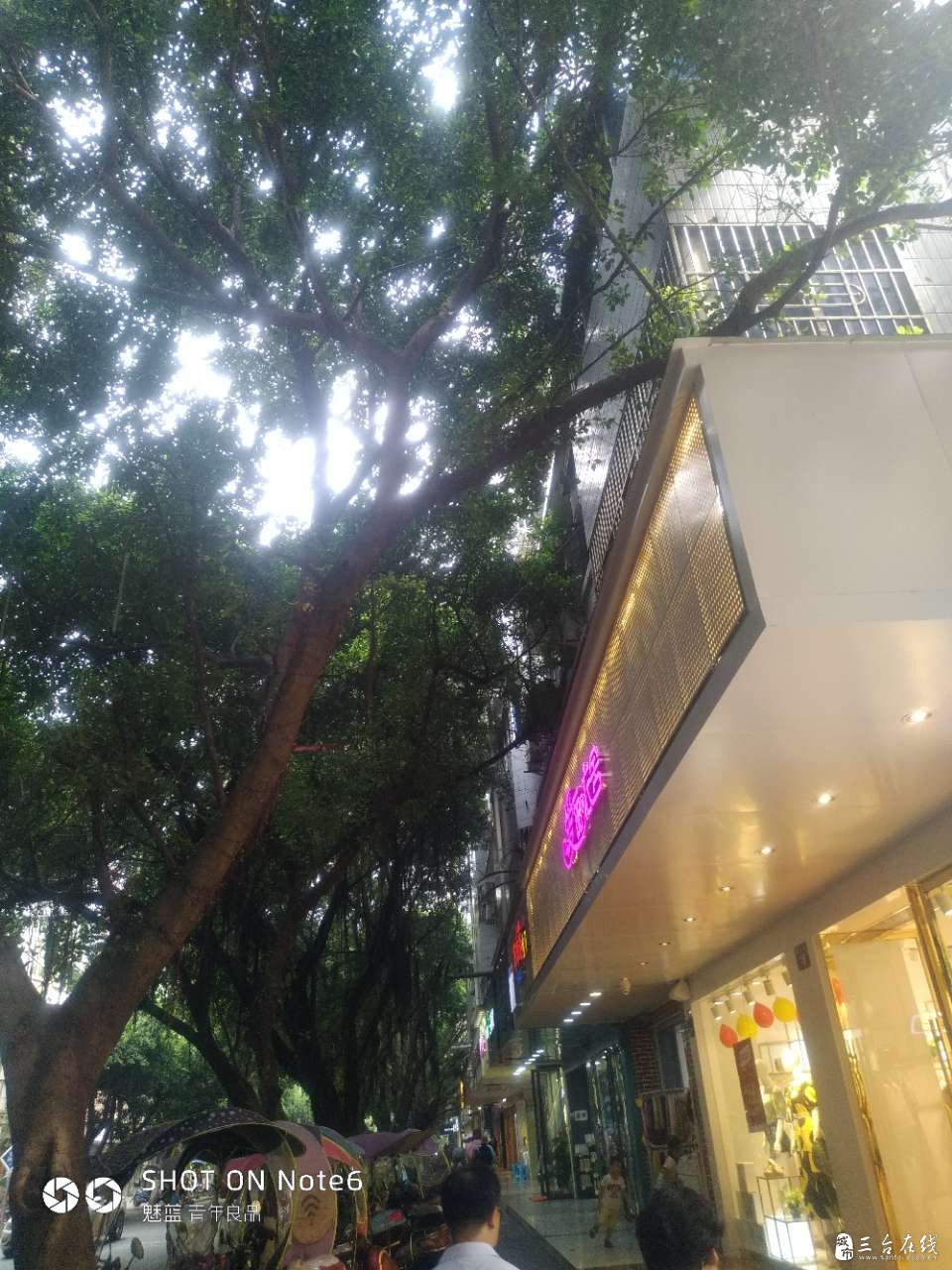 20190821_1416_1566366688758.jpg