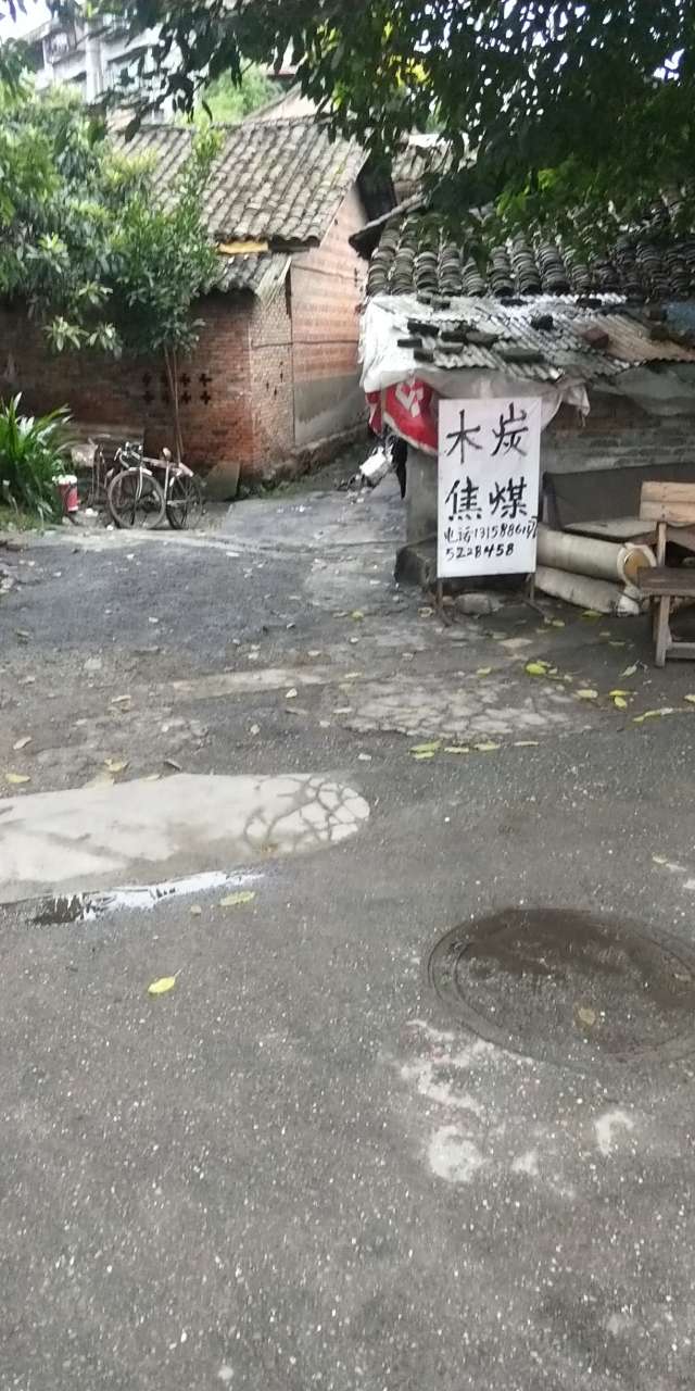 20190915_1510_1568546773342.jpg