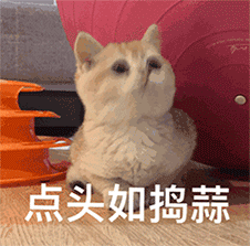 640.gif