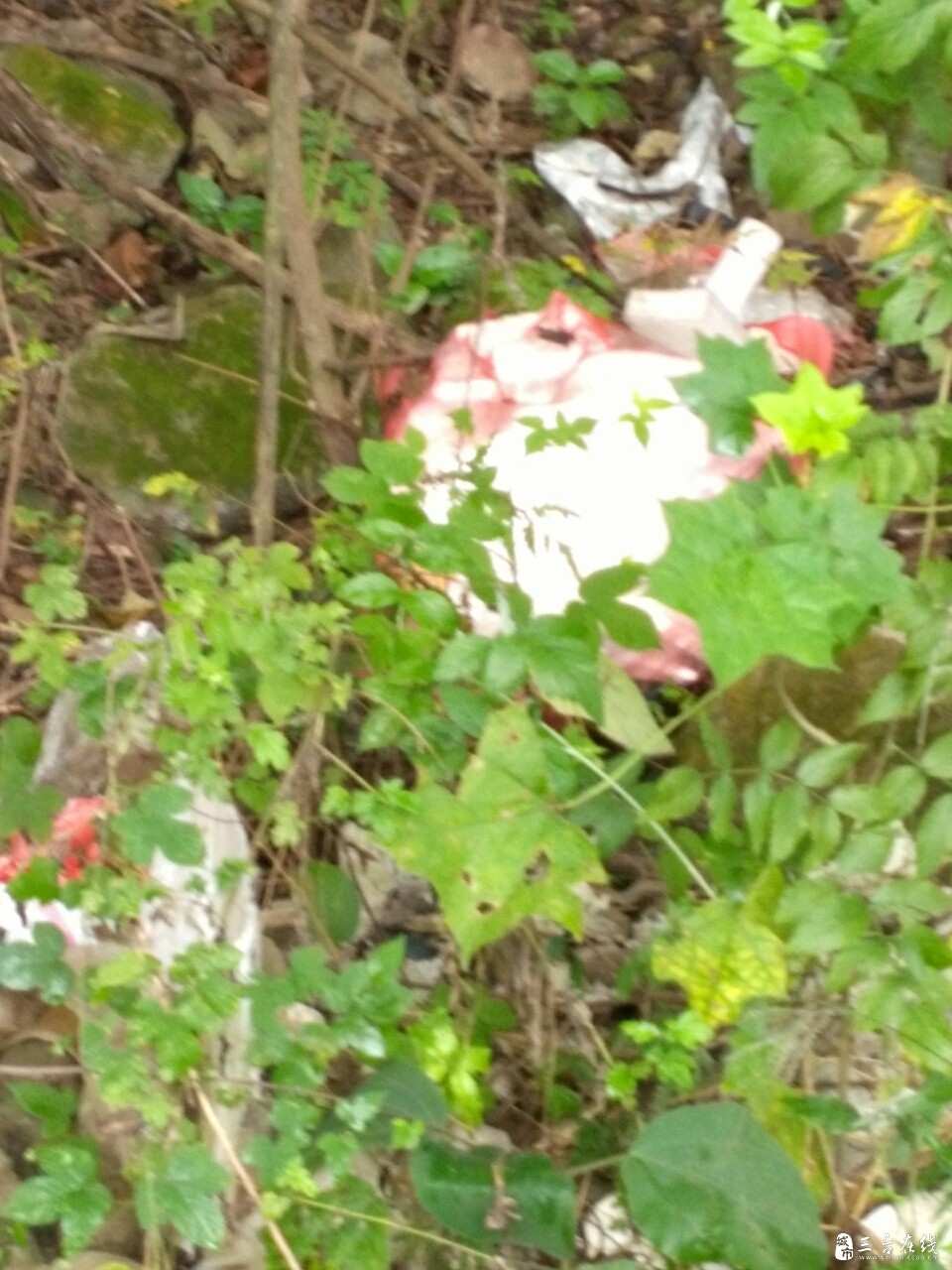 20191013_7828_1570940740297.jpg