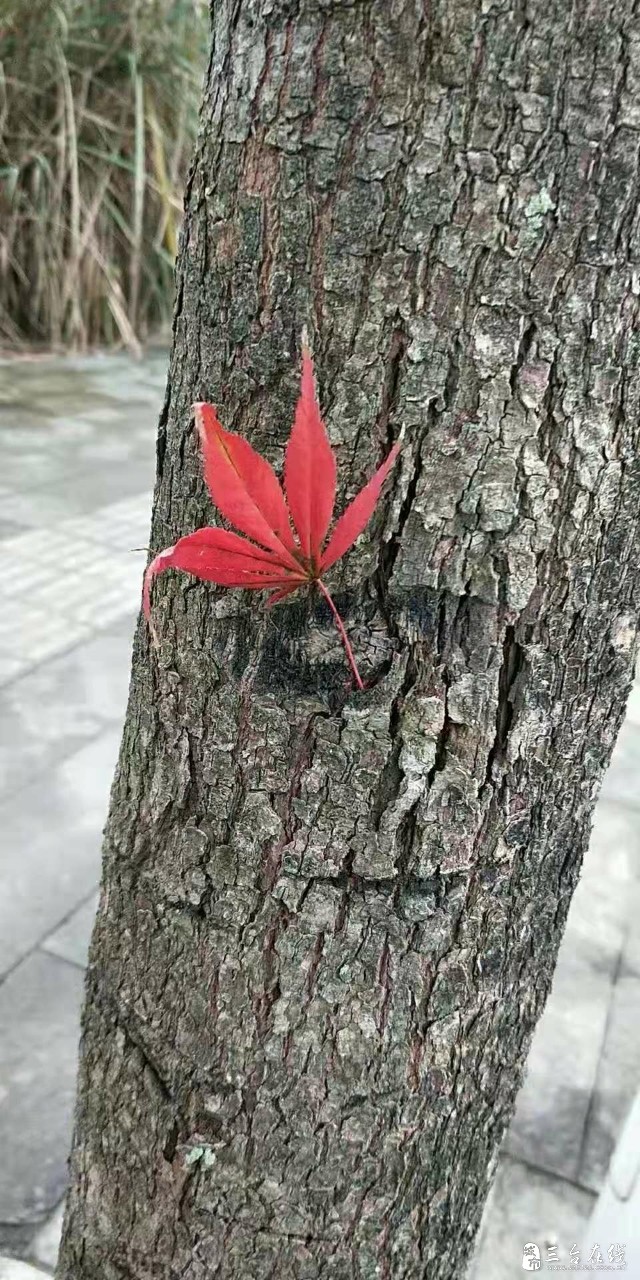 20191018_7264_1571359462444.jpg