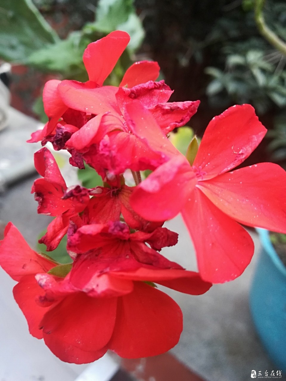 20191019_1536_1571468872803.jpg