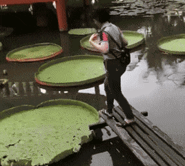 20191027_6121_1572166715888.gif