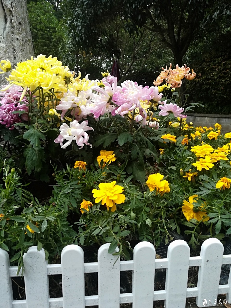 20191115_1536_1573784908747.jpg