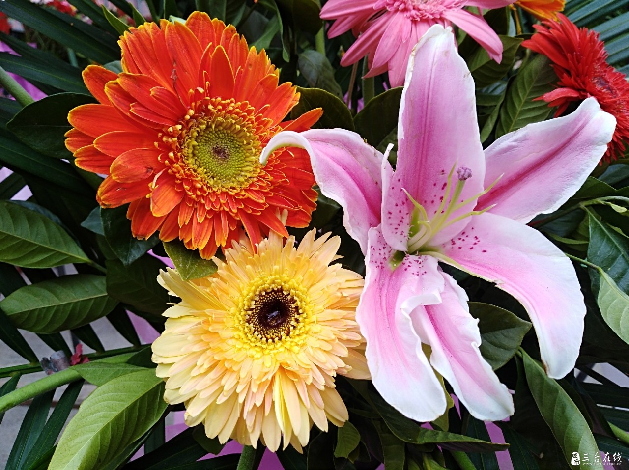 20191227_1683_1577433263131.jpg