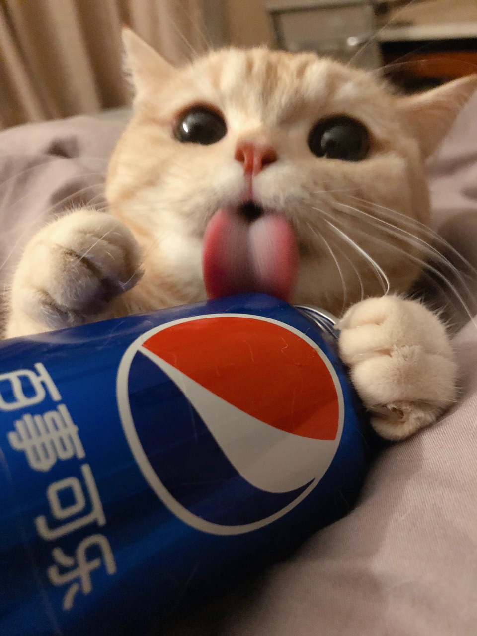 FlWVIqdwRht7brbQsJH7Xy9tXar6.jpg