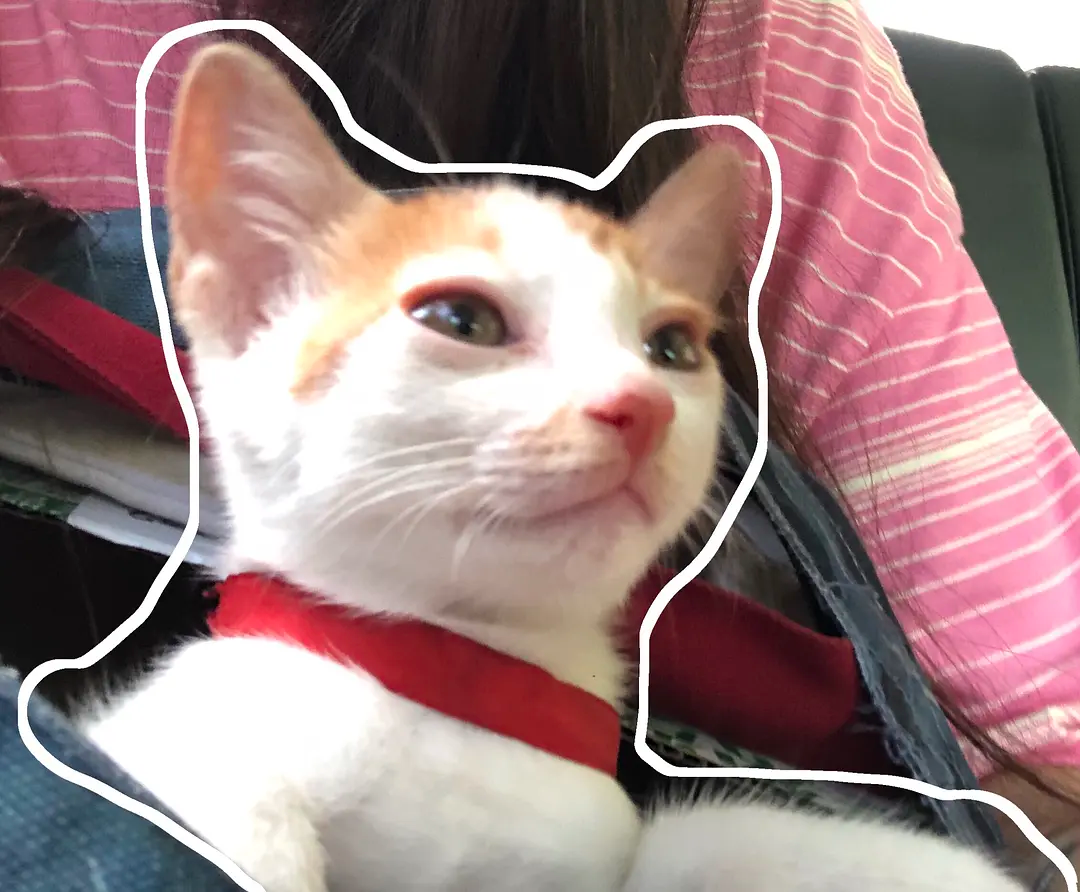 微信图片_20200914140946.png