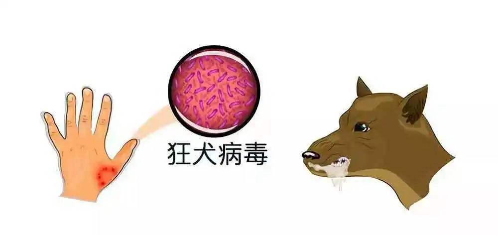 微信图片_20210306110024.jpg