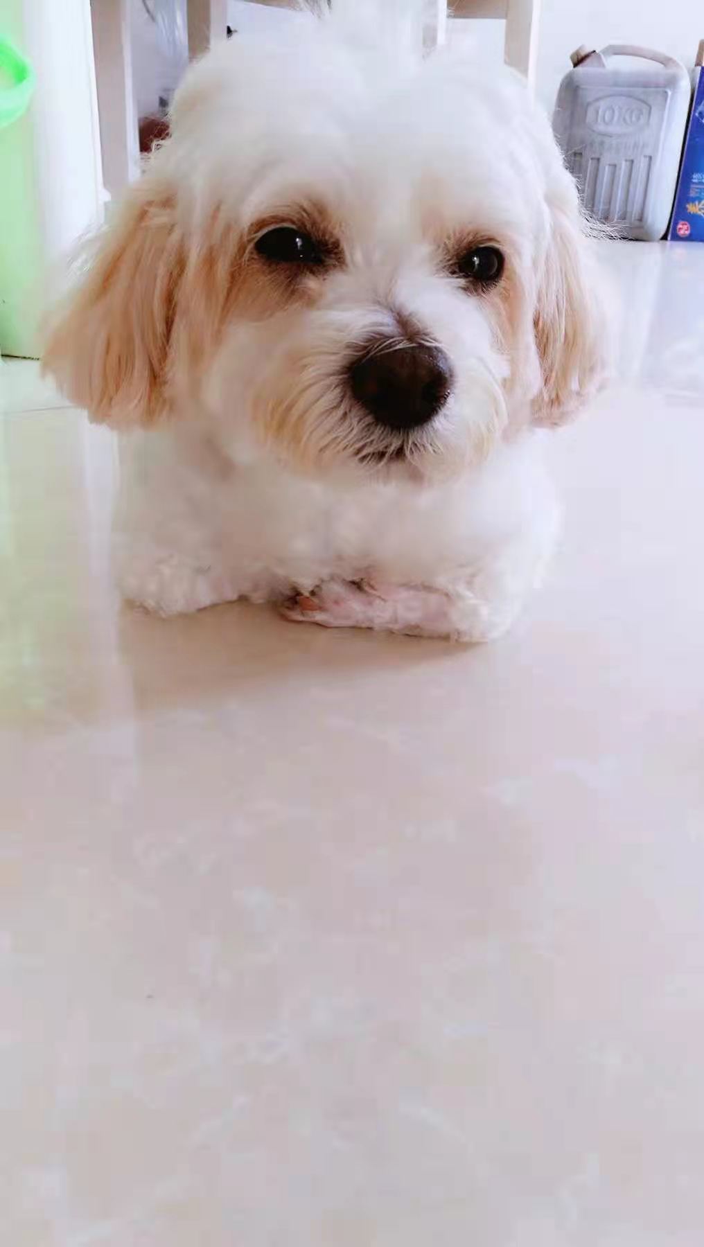 微信图片_20210329135006.jpg