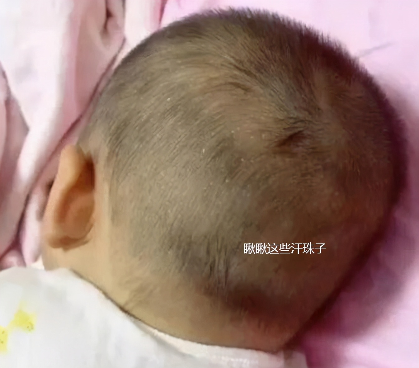 微信图片_20210407112537.jpg