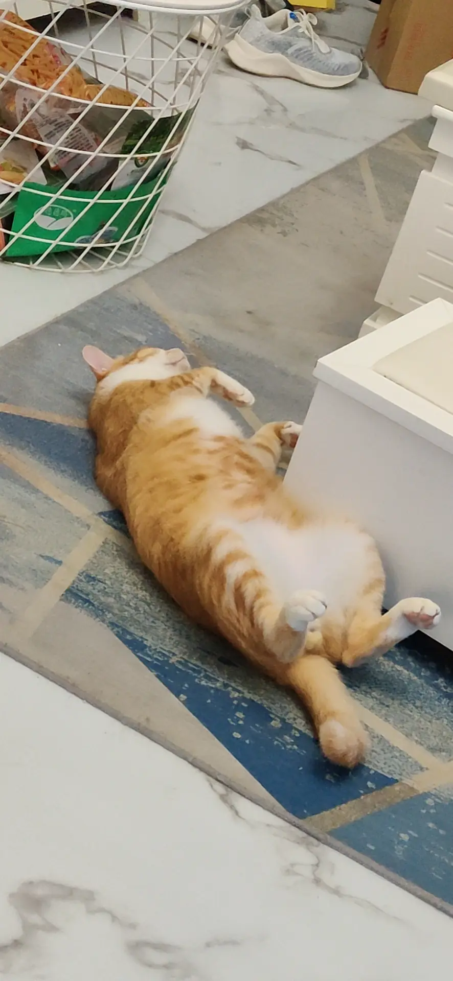 微信图片_20210425143126.png