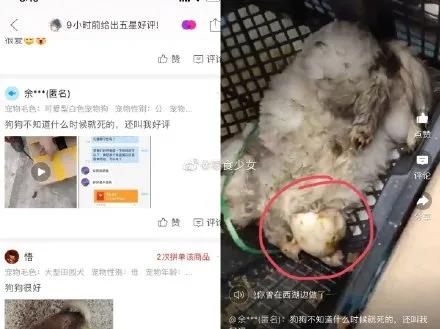 微信图片_20210504154547.jpg