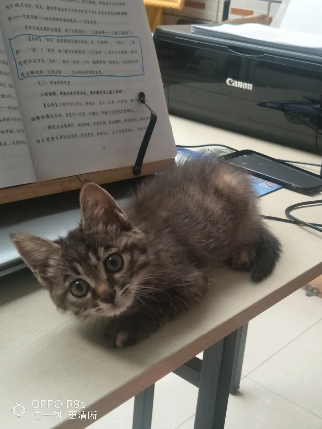 微信图片_20210510164429.png