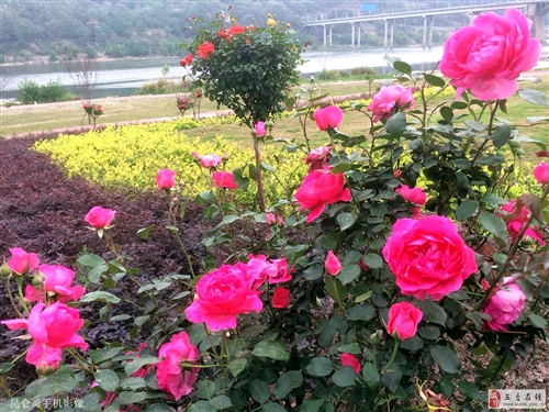 微信图片_20210513153633.jpg