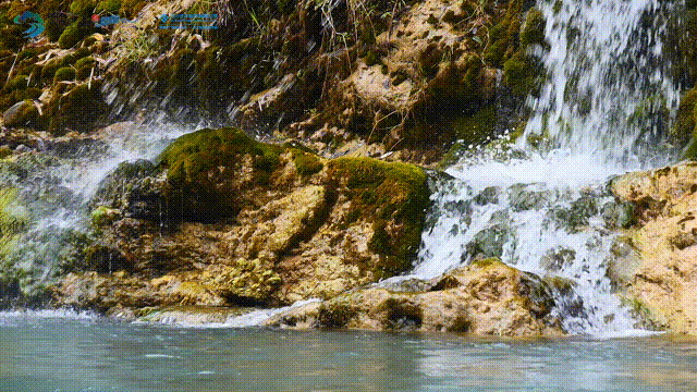 front2_0_lveXBz0fLbdPw7NWuIXXs_ppLVUq.1621583273.gif