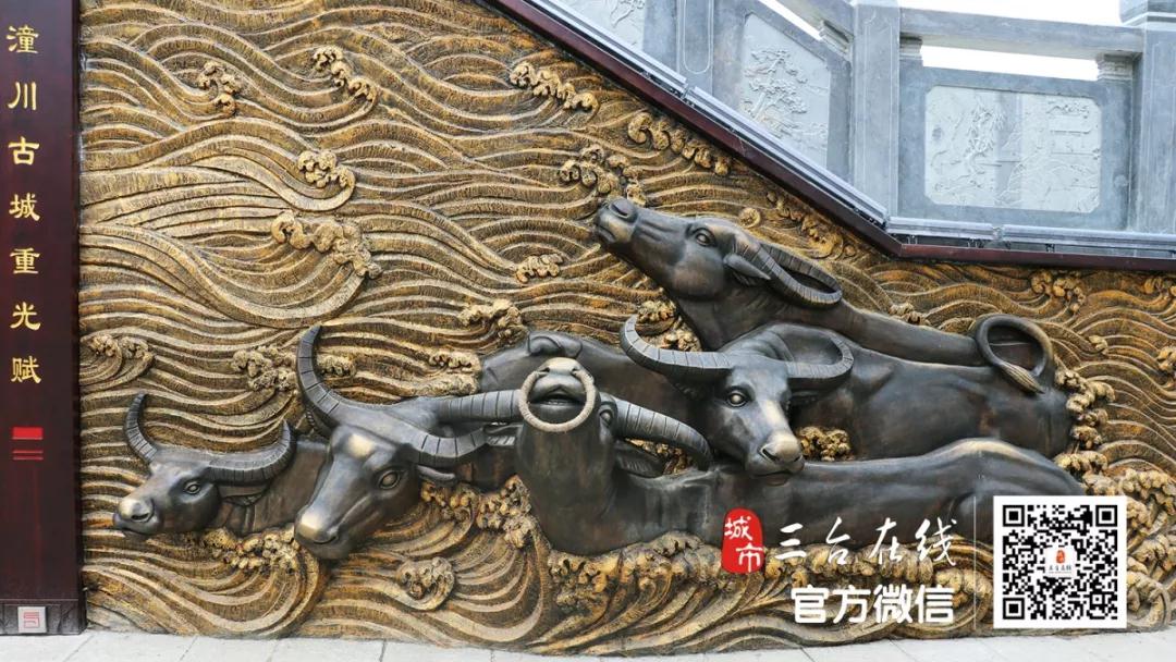 微信图片_20210524175135.jpg
