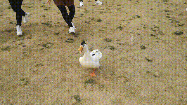 front2_0_FhcWFy-4EXj3k8PaZcyjU_dvOGYF.1621927455.gif