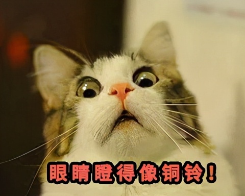 微信图片_20210526180157.jpg