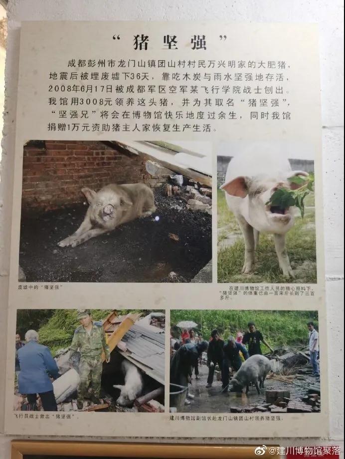 微信图片_20210617110050.jpg