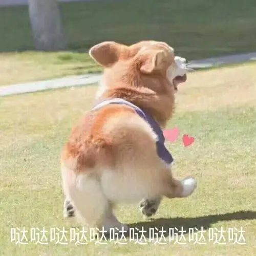 微信图片_20210705163354.png