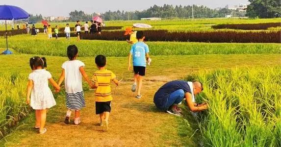 微信图片_20210708115452.png