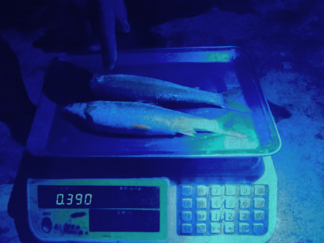 微信图片_20210713160255.png