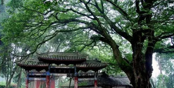 微信图片_20210802085142.png