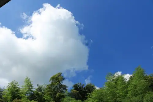 微信图片_20210820110218.png