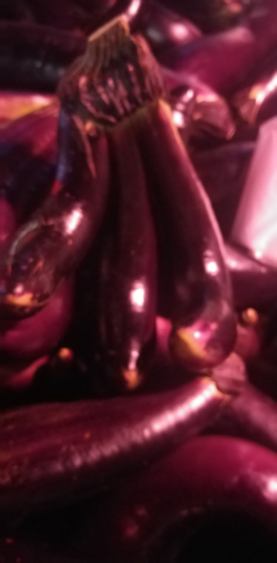 front2_0_Fj1QTGf7_rFOZpXrvOV1iKwOq7KP.1629552907.jpg