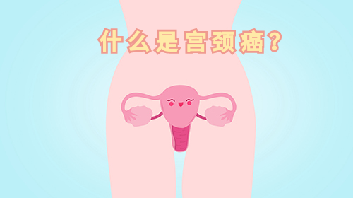 微信图片_20210903092907.png