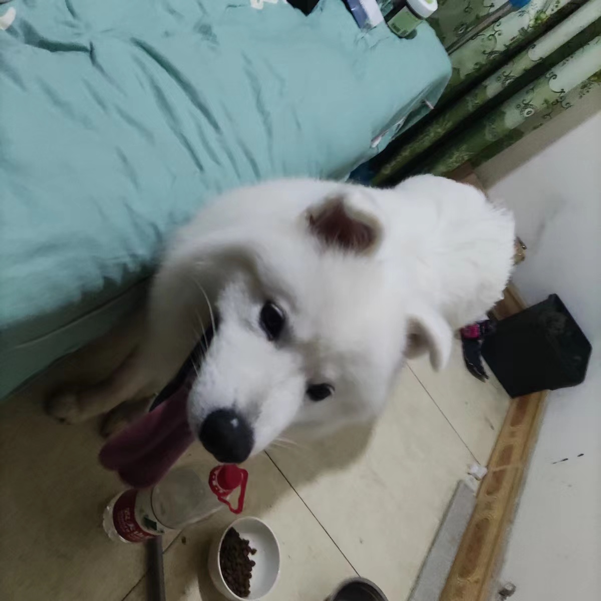 微信图片_20210928180407.jpg