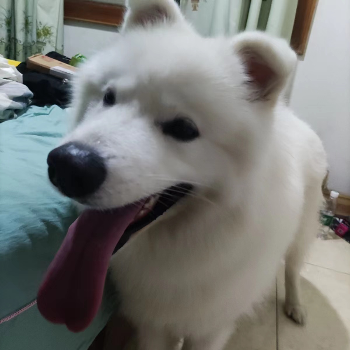 微信图片_20210928180409.jpg