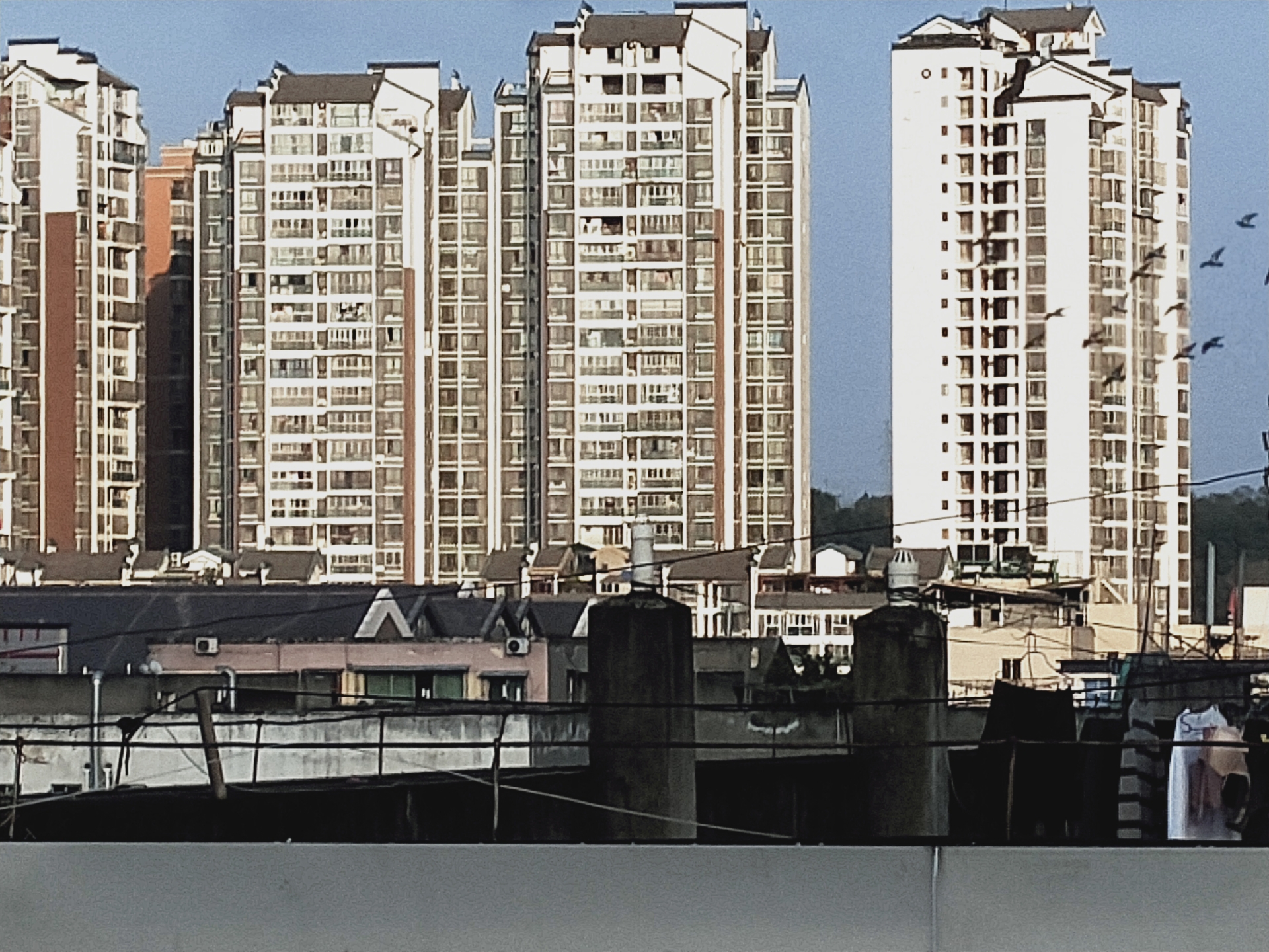 front2_0_19610_FoHcVEWWte_Tsv1EO_8H7u7xmx3o.1636430054_11_54_29.jpg