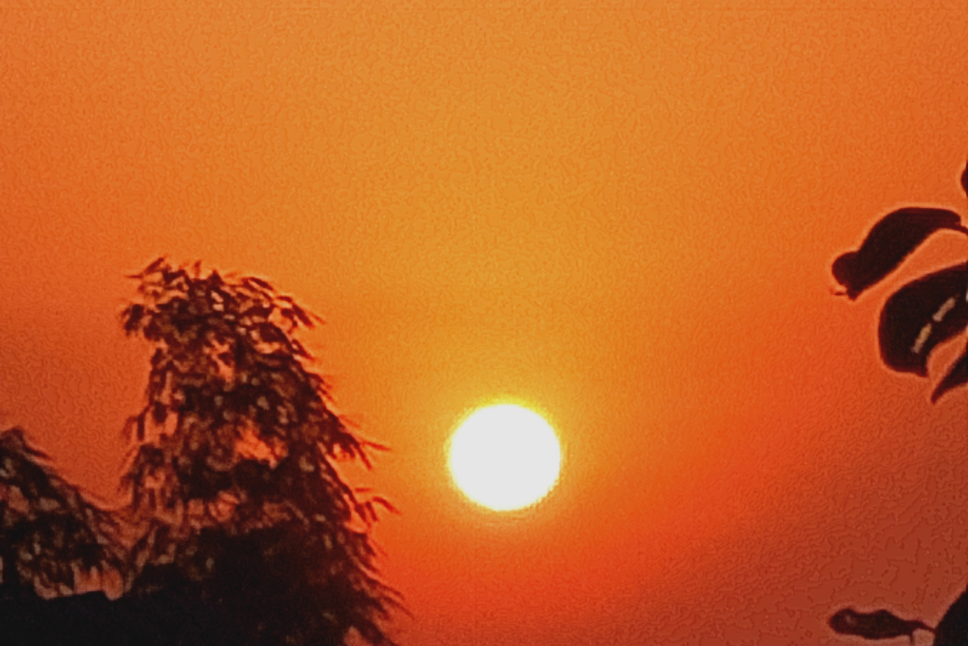 front2_0_19610_FrDbvTyTFbfgVIUCWUFjW18QF0dR.1636589674_08_14_48.jpg