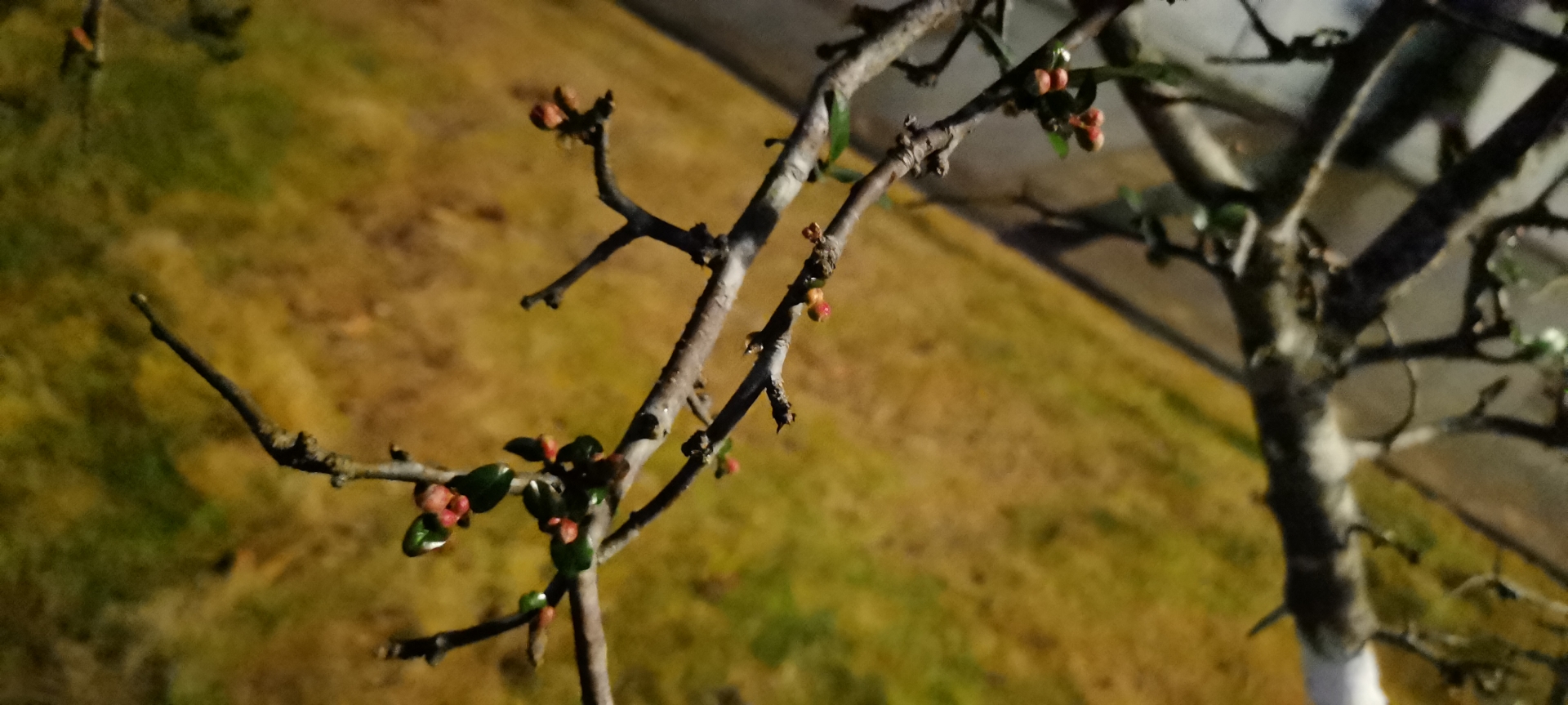 20211226221912front2_0_31812_FvaUx8a-W4Wx__O0ts1ge7Zsomvr.jpg