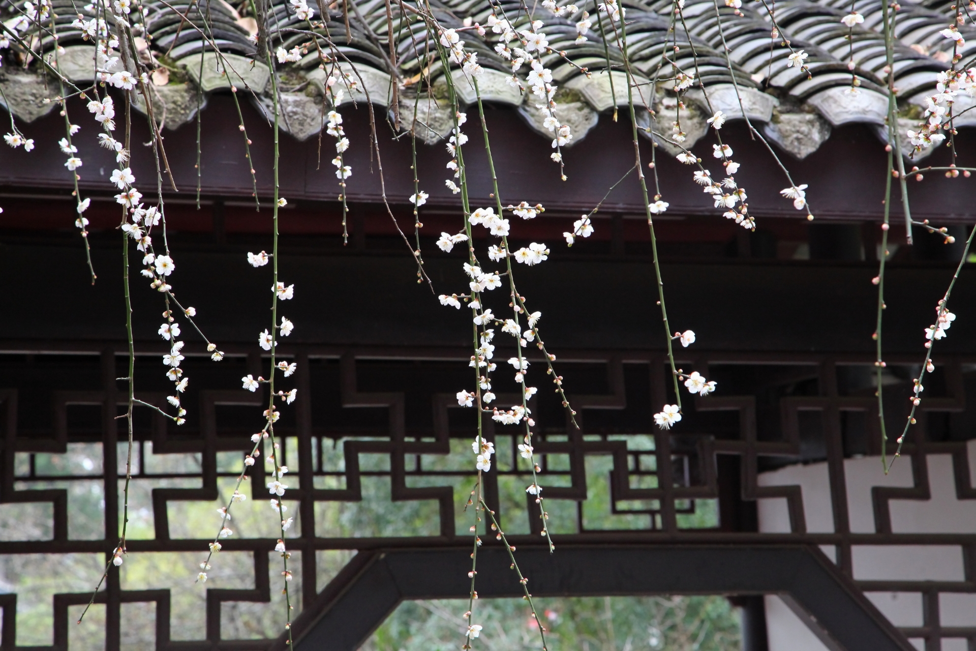 20220114161759front2_0_8860_FlU2JPcdyoCMfpjzp_gao-C2MQrB.jpg