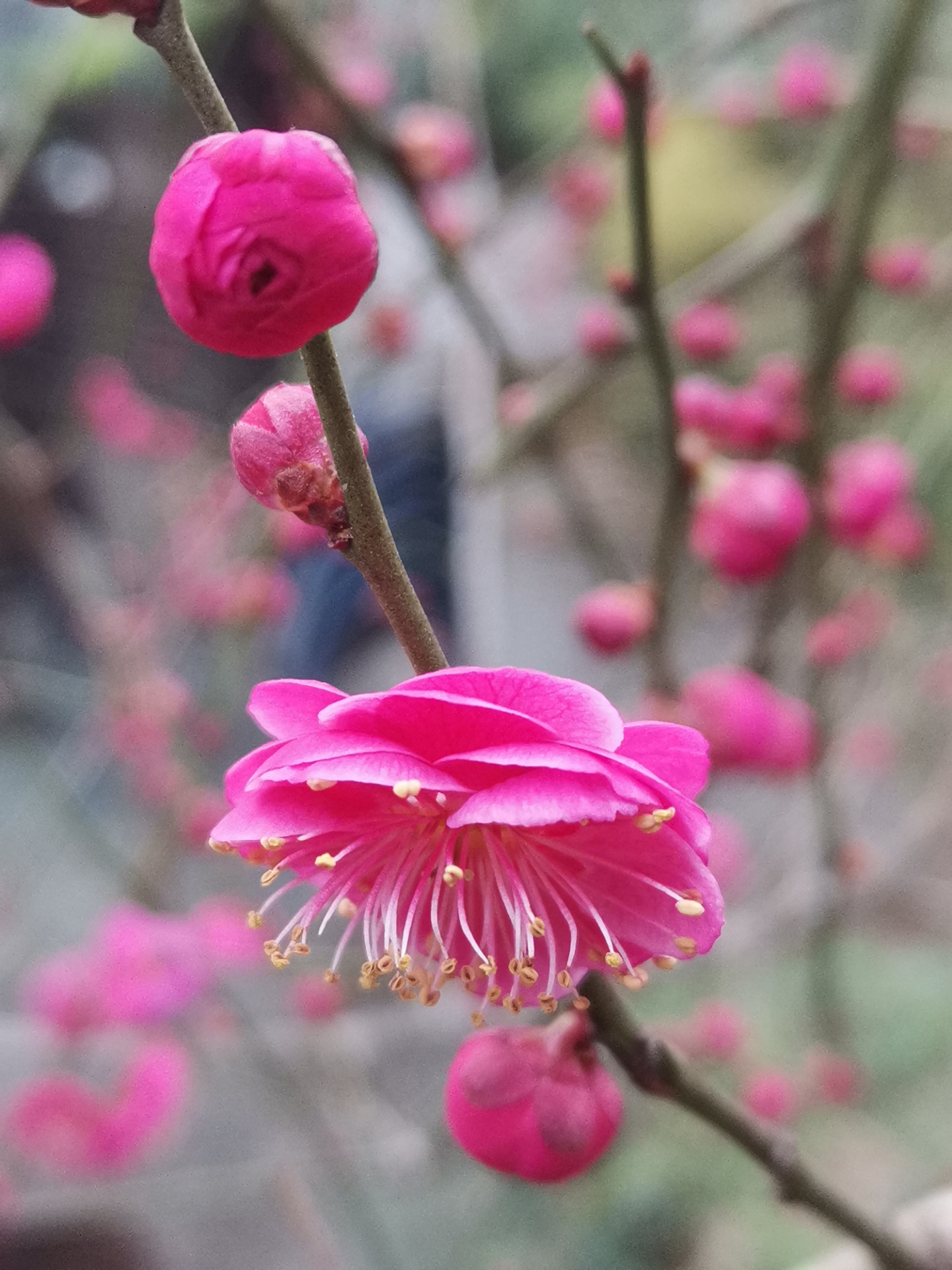 20220115152918front2_0_10610_FgOmHhVKH7bQmTQGW3Pnw3y_kF1l.jpg