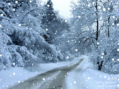 20220121155254front2_0_10610_FrldCwneaR3rrLIt5B-_sdZdmX8S.gif