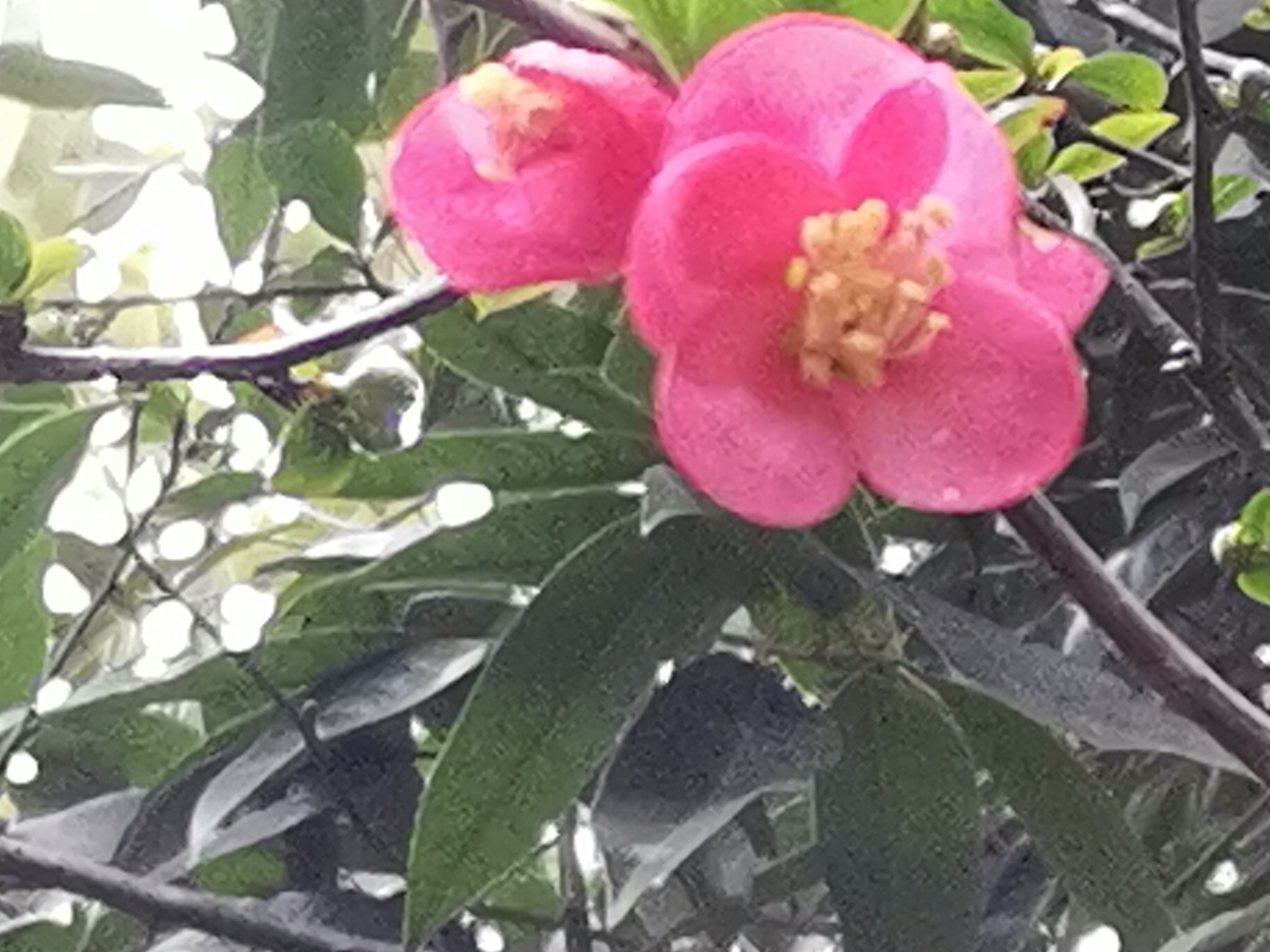 20220128144923front2_0_10610_FpLXS-Y59Gslf4AiqASLzT7kA9U3.jpg