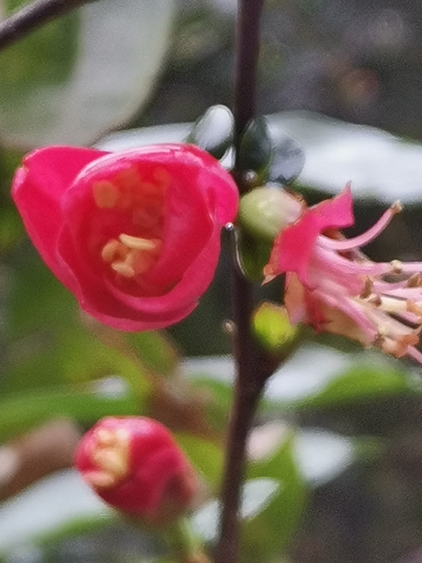 20220128144927front2_0_10610_FvwGcG49FLy_arwTI8d1PCHogS1N.jpg