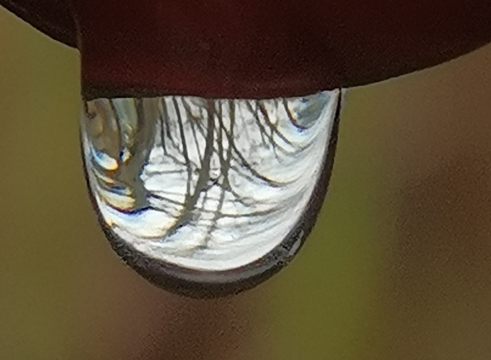 20220219082225front2_0_10610_FgkARelPWxJo396L_0lGyyhlI7_d.jpg