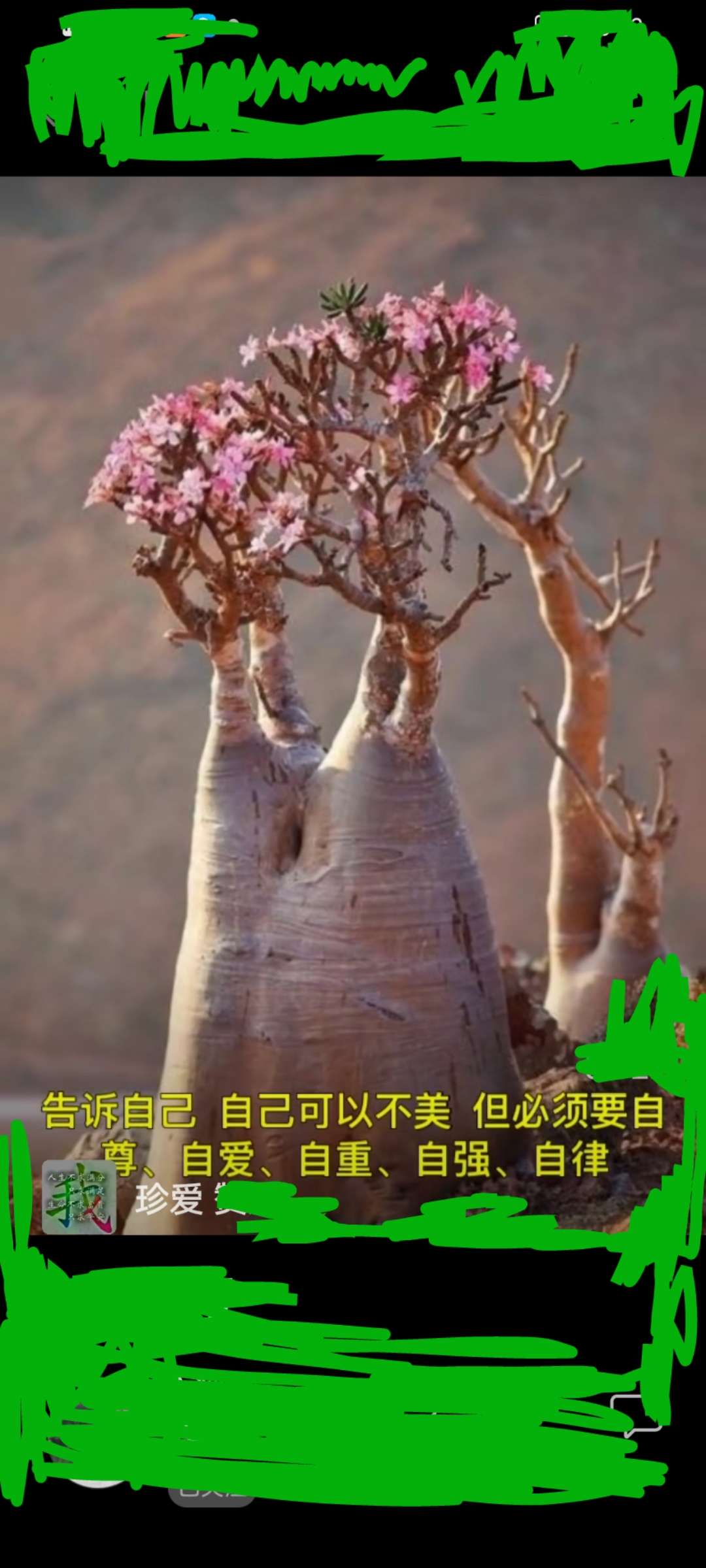 20220224103525front2_0_11199_FjITX8WdS7Vj8foMlTc_ffdcnsoC.jpg