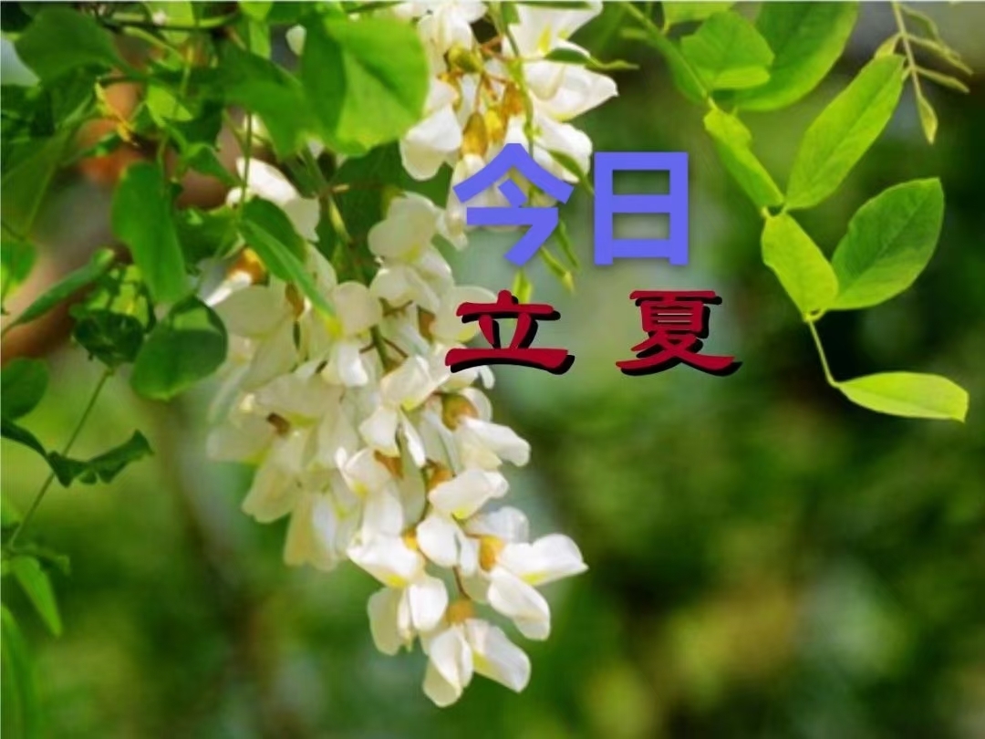 20220505071925front2_0_6343_FlEEmXyMwi-na_14_cS0RncxbJRJ.jpg