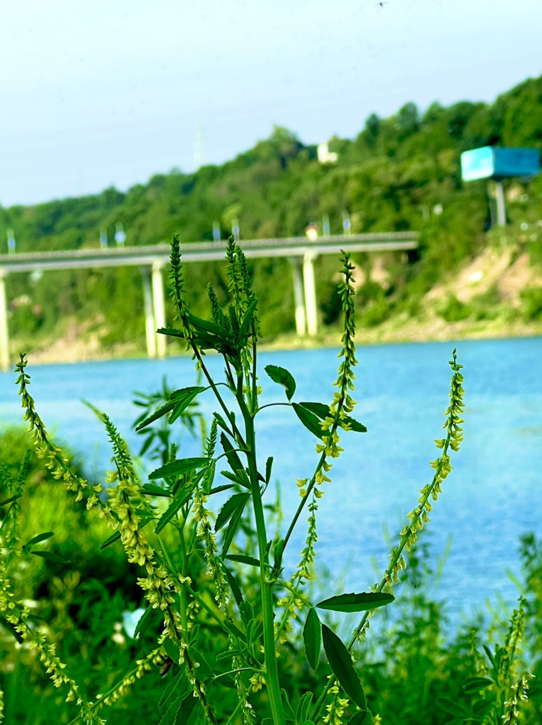 20220505233834front1_0_32715_FgTa0XI-MtpIa9SzPjlykNYi7HWK.jpg